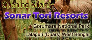 Sonar Tori Resorts